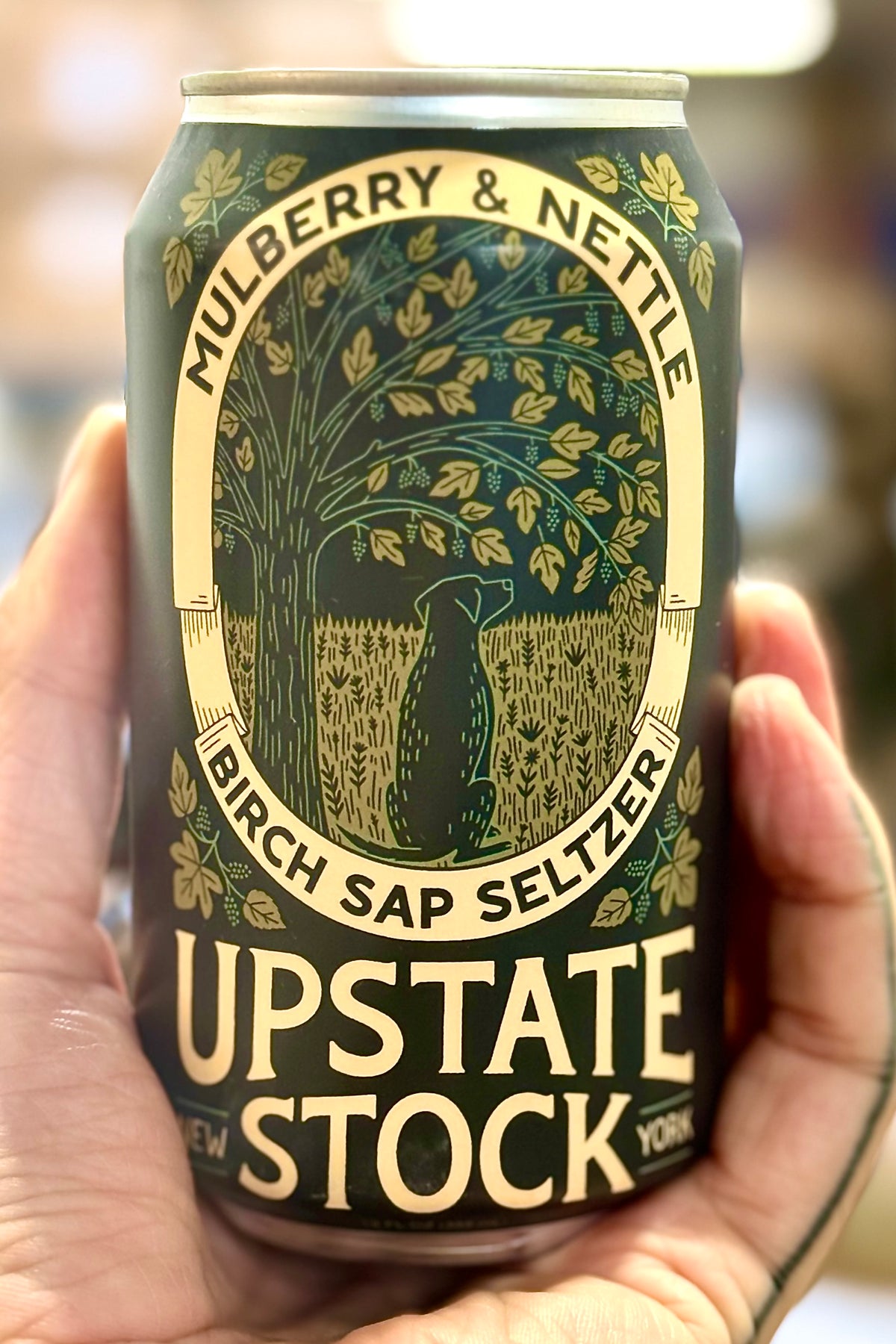 Mulberry & Nettle Birch Sap Seltzer