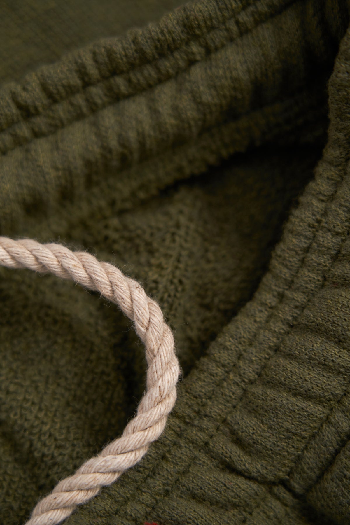 The Standard Short Upcycled Cotton Terry  - Thicket Green