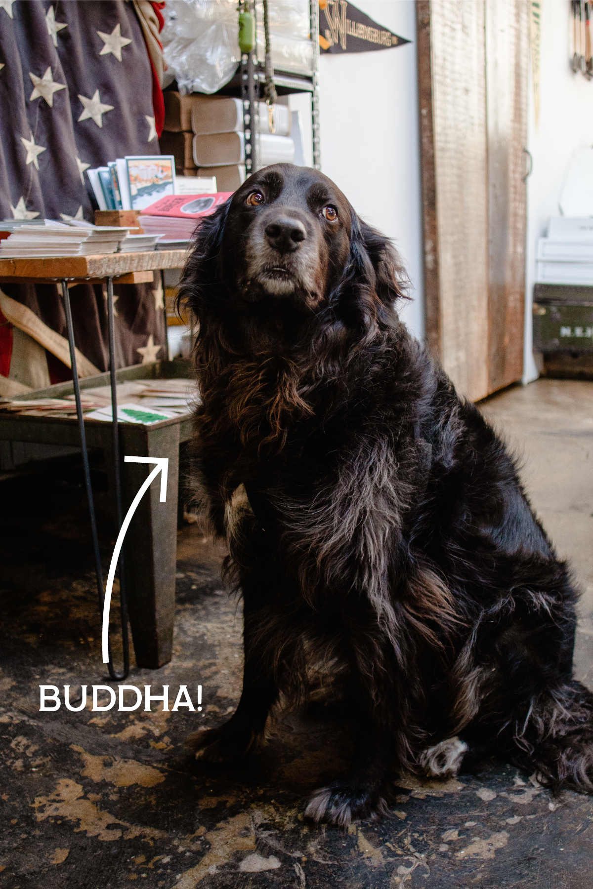 "The Buddha" Black Melange Fingerless Glove with Paw Palm