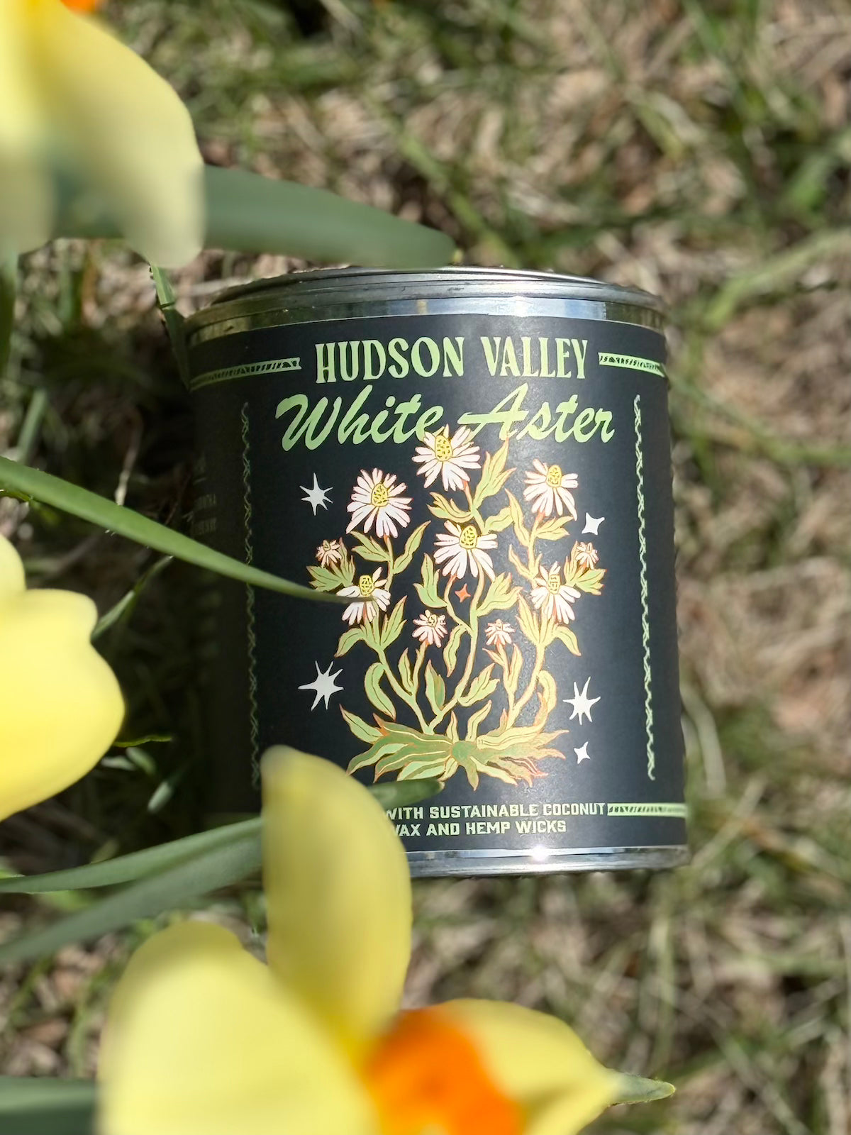 Hudson Valley White Aster Paint Can Coconut Wax Candle
