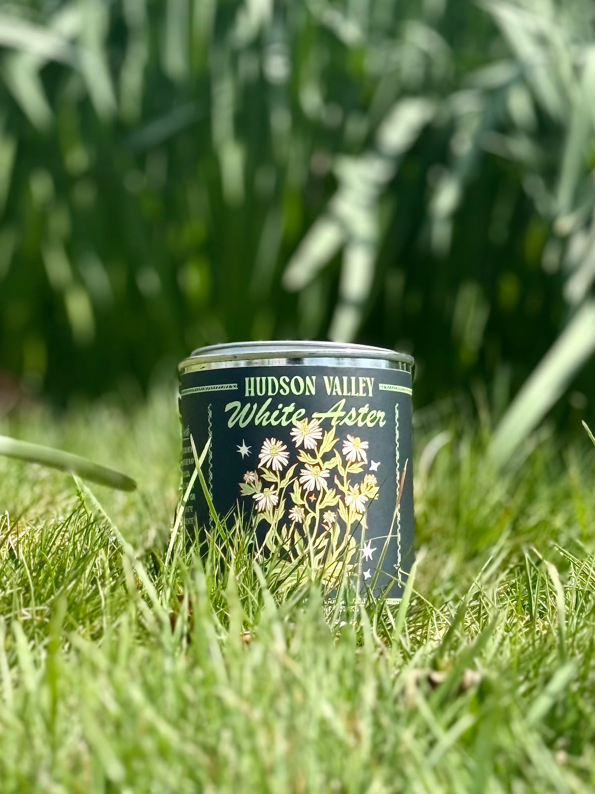 Hudson Valley White Aster Paint Can Coconut Wax Candle