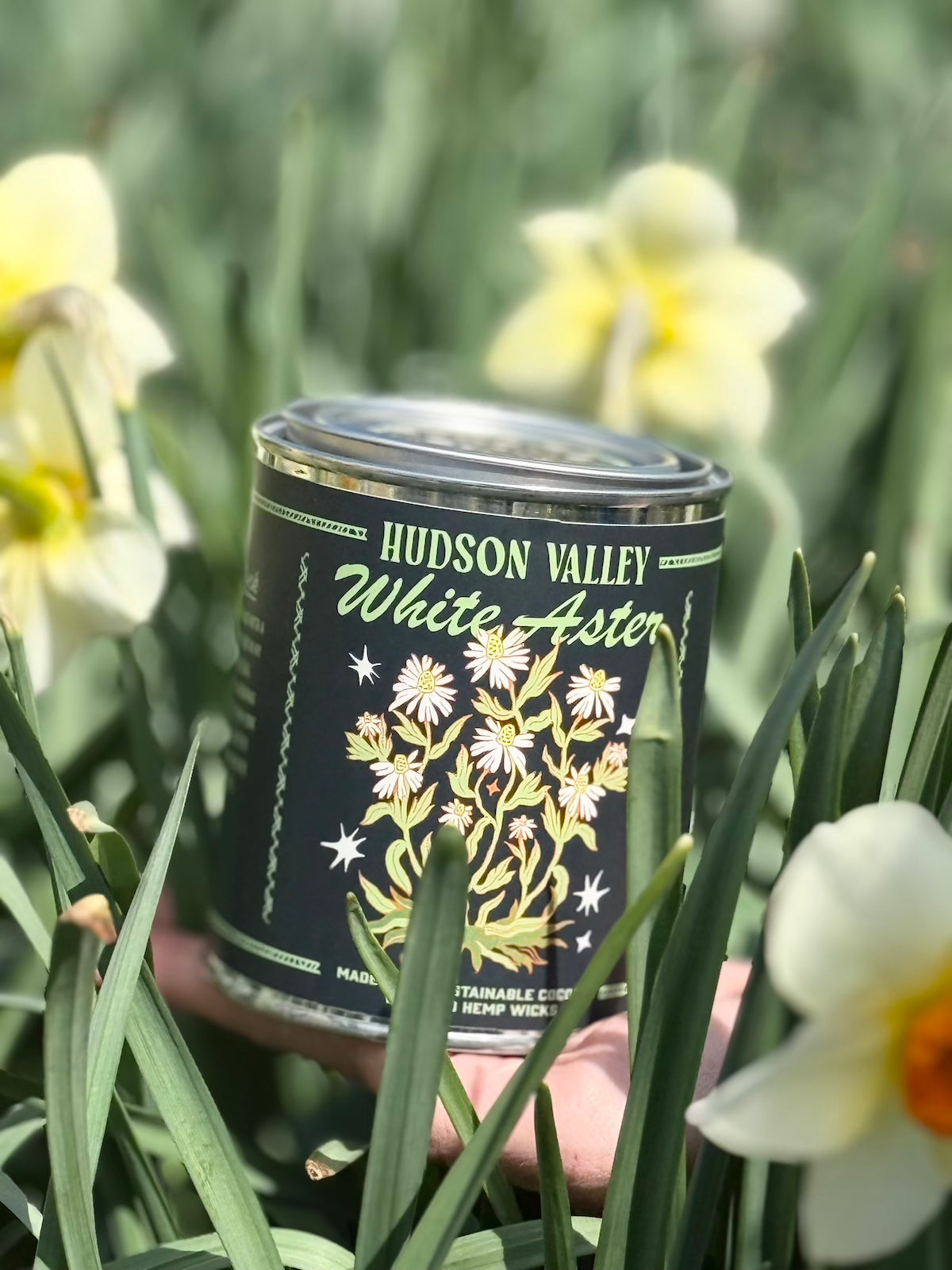 Hudson Valley White Aster Paint Can Coconut Wax Candle