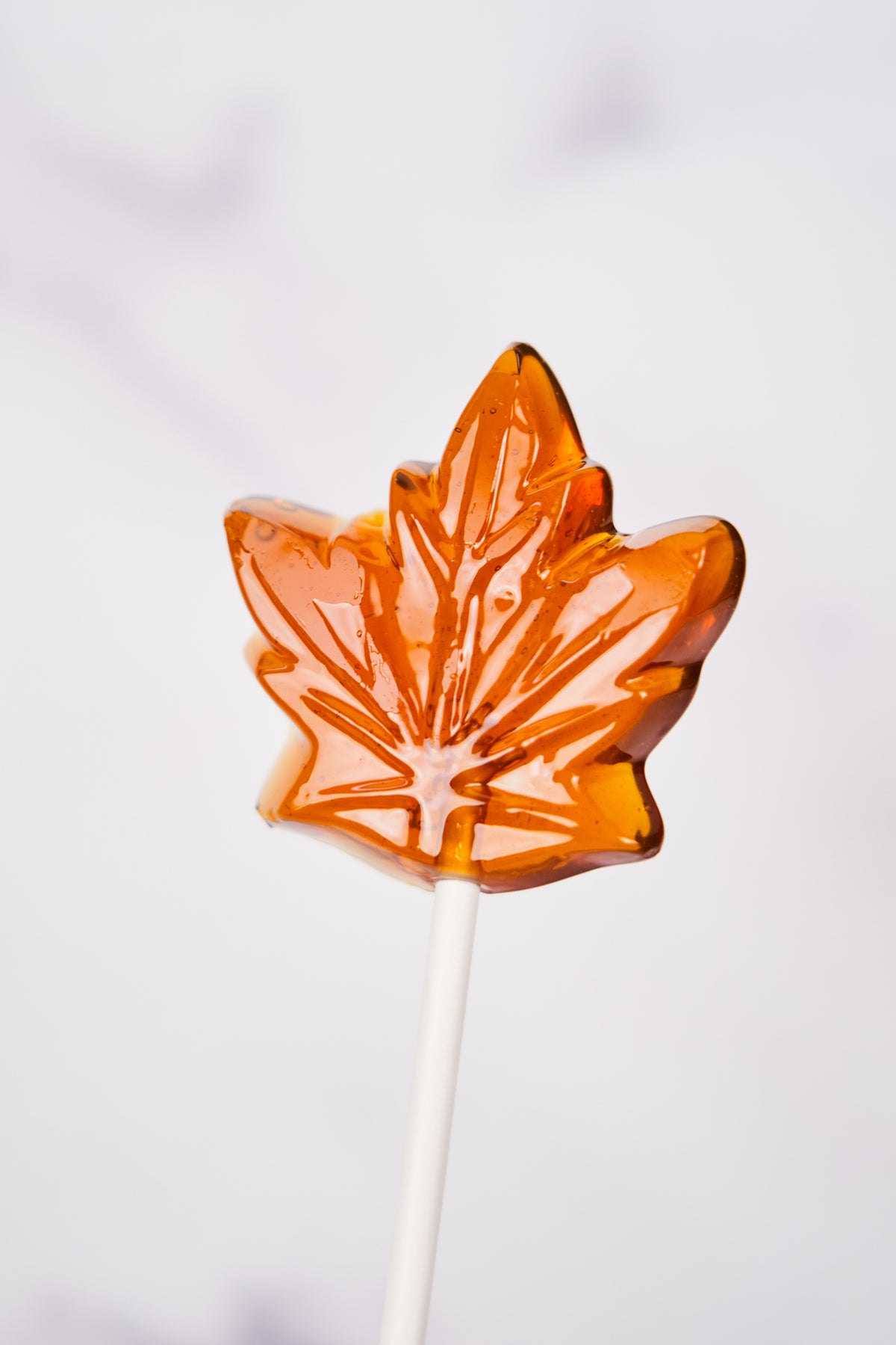 Upstate Stock Maple Collection - MAPLE LOLLIPOP