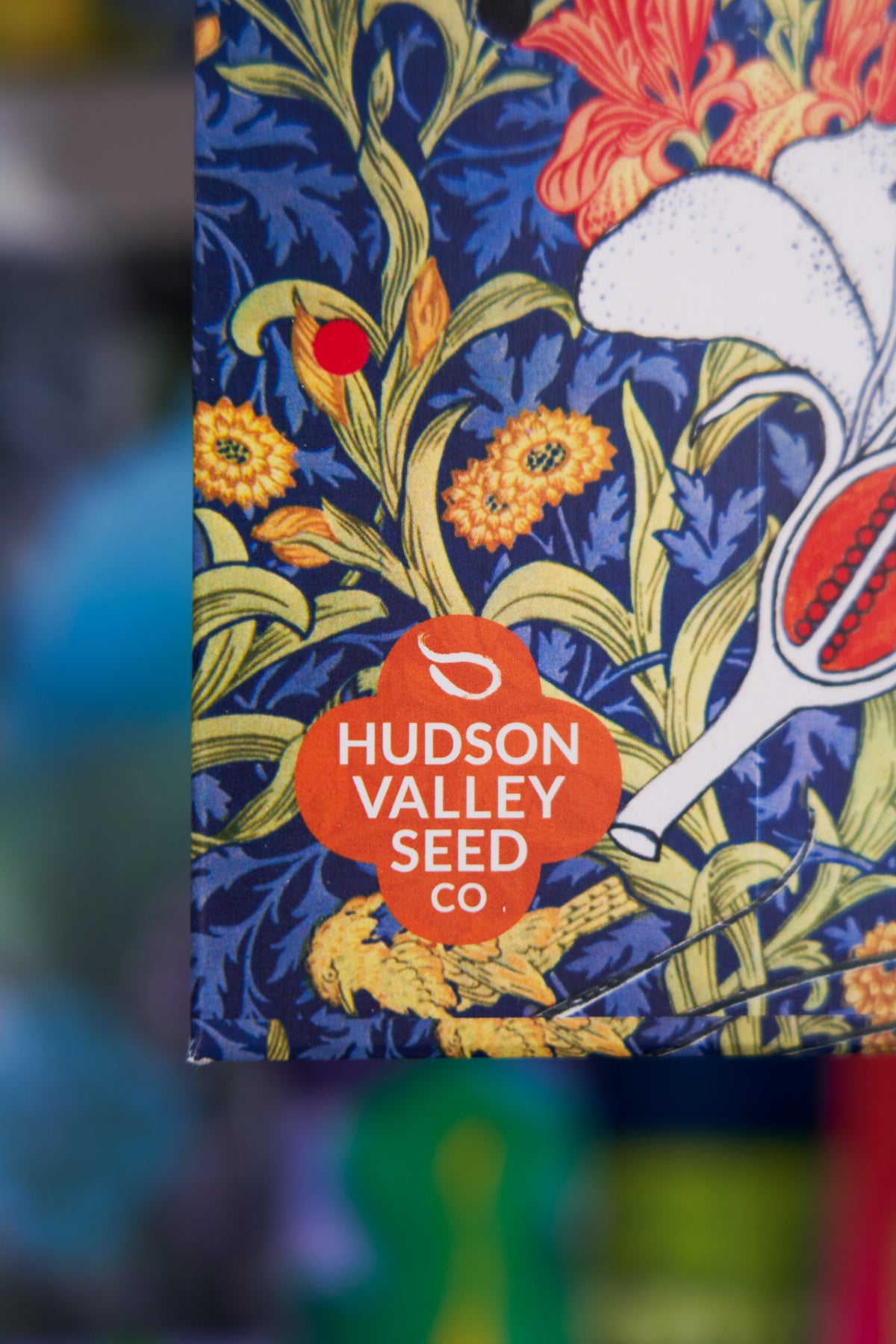 Hudson Valley Seed Co. - Bee Nectary Mix - Art Pack