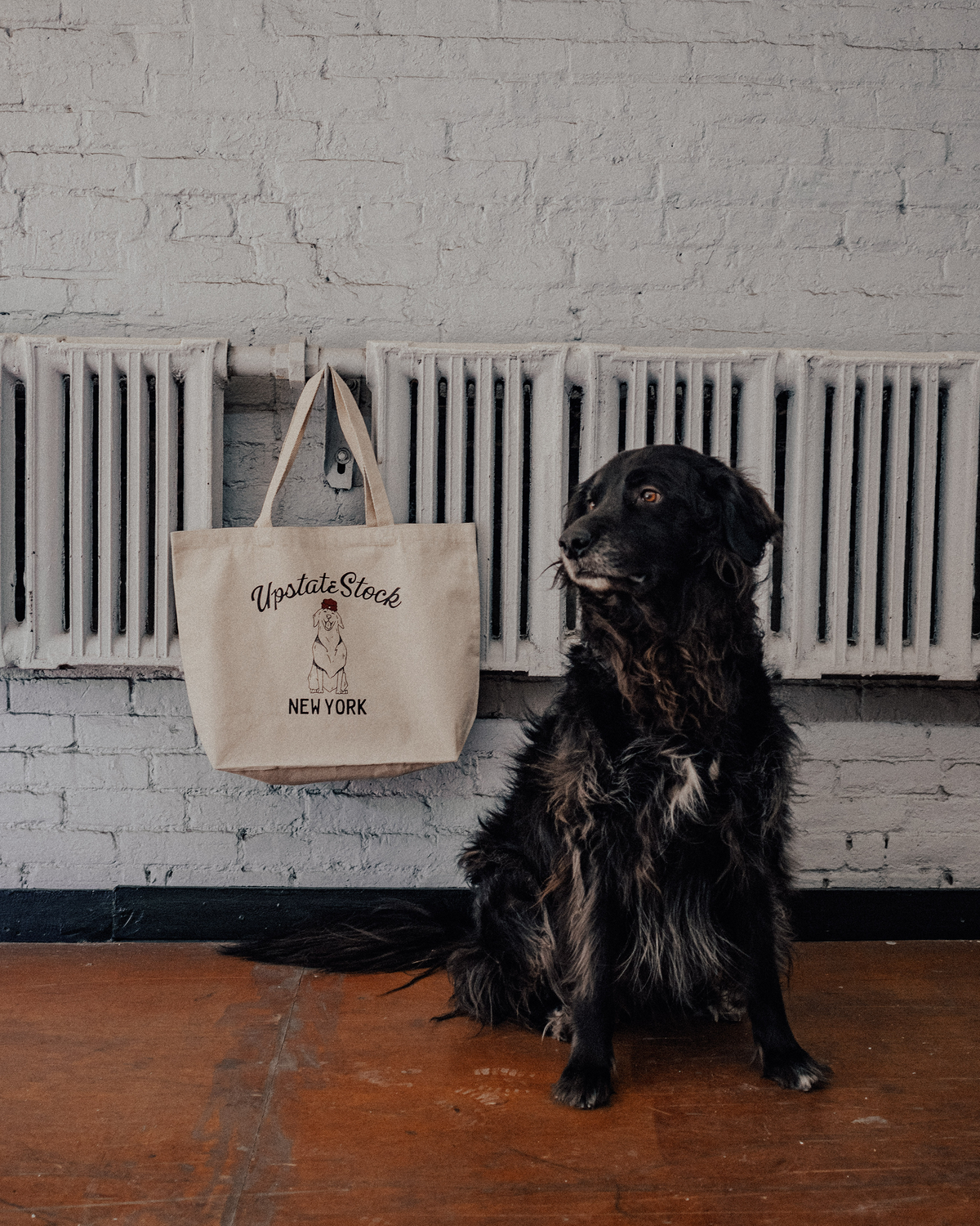 Large Tote Bag - BUDDHA THE SHOP DOG